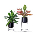 /msite/products/detail/productid/61691077/id/1356447.html